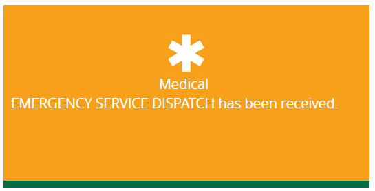MedicalServiceDispatch.png